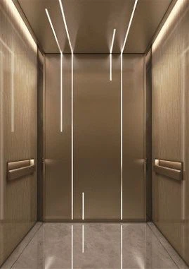 1000кг Зграда путничких лифтова